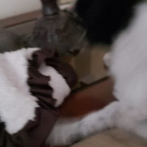 Meet your Posher, Debbie